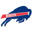 Howard University Bison